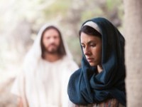 Life at the&nbsp;Tomb