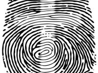 An Identity For All&nbsp;Times