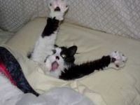 And What Gets You Out of&nbsp;Bed?