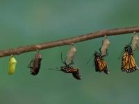 Grace, Faith and&nbsp;Transformation