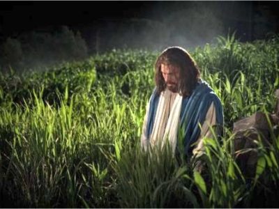 Preparing for PRAYER